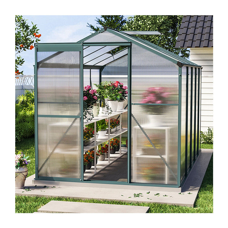 10x6 ft Transparante tuin kas Polycarbonaat met 2 ventilatie schuren Type Transparante